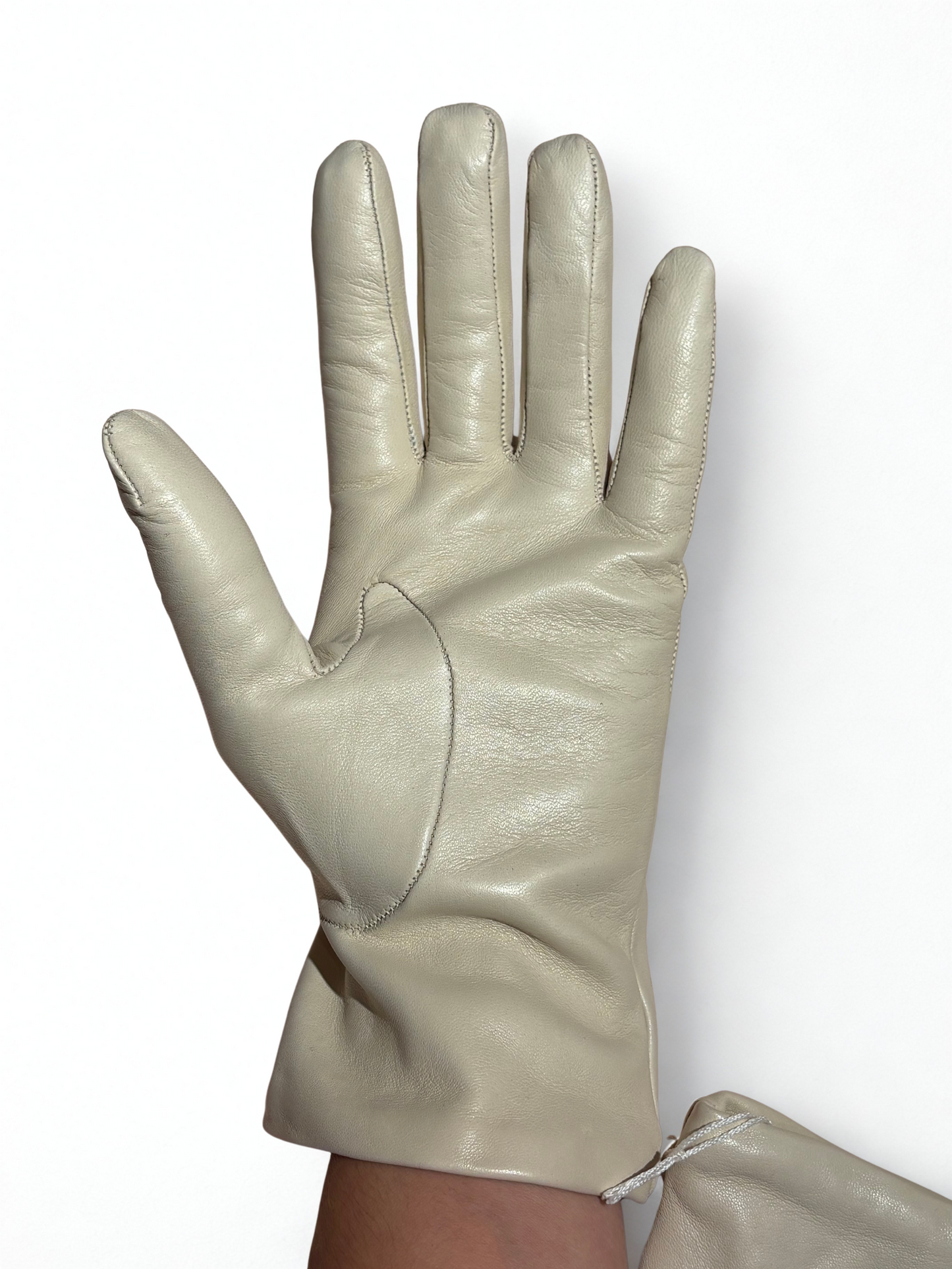 Guanti in pelle / Alpo