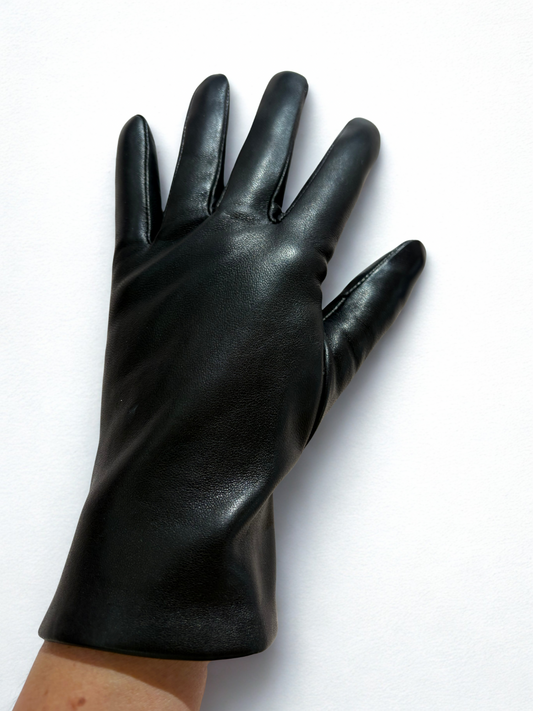 Guanti in pelle / Alpo