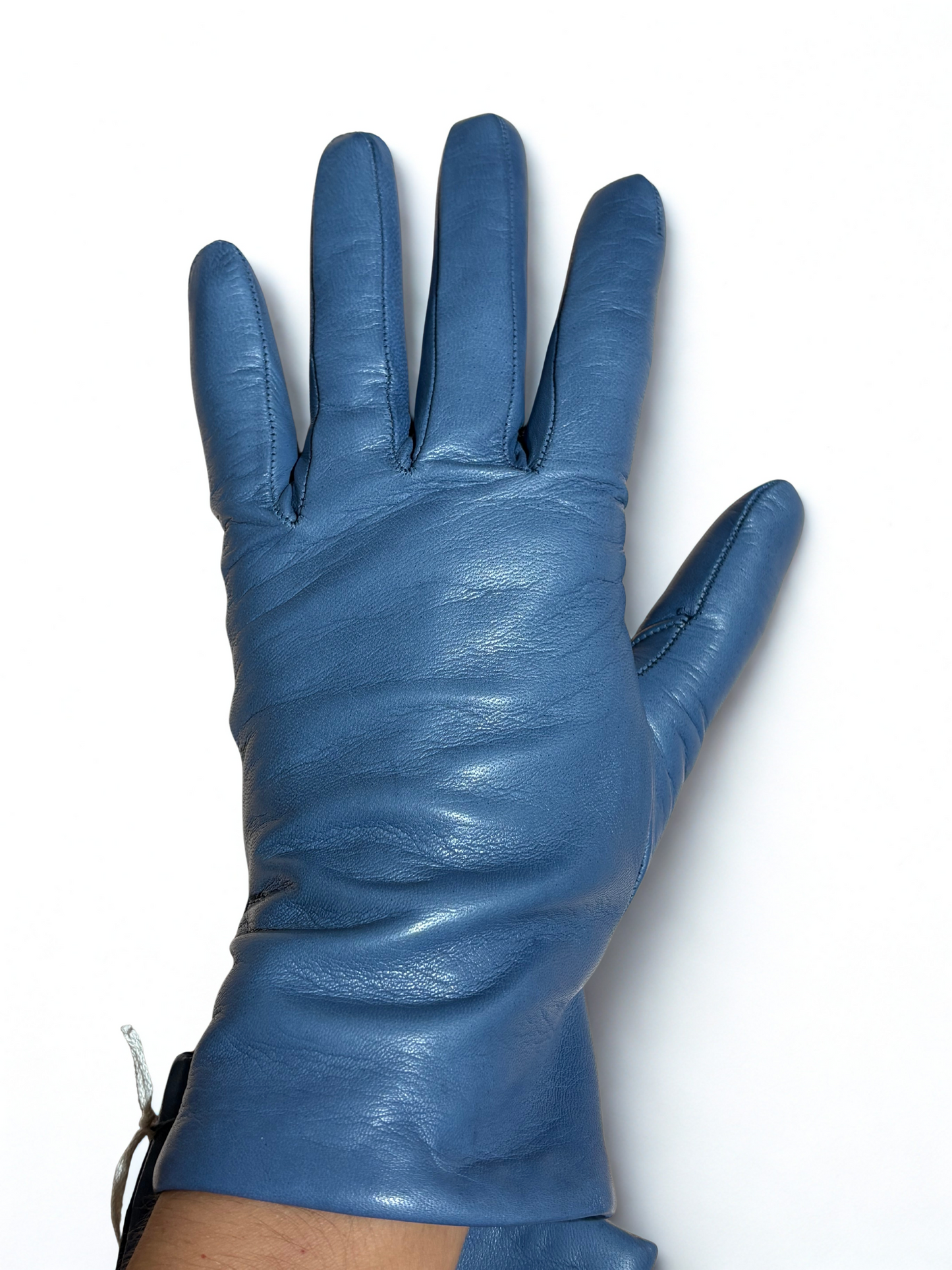 Guanti in pelle / Alpo