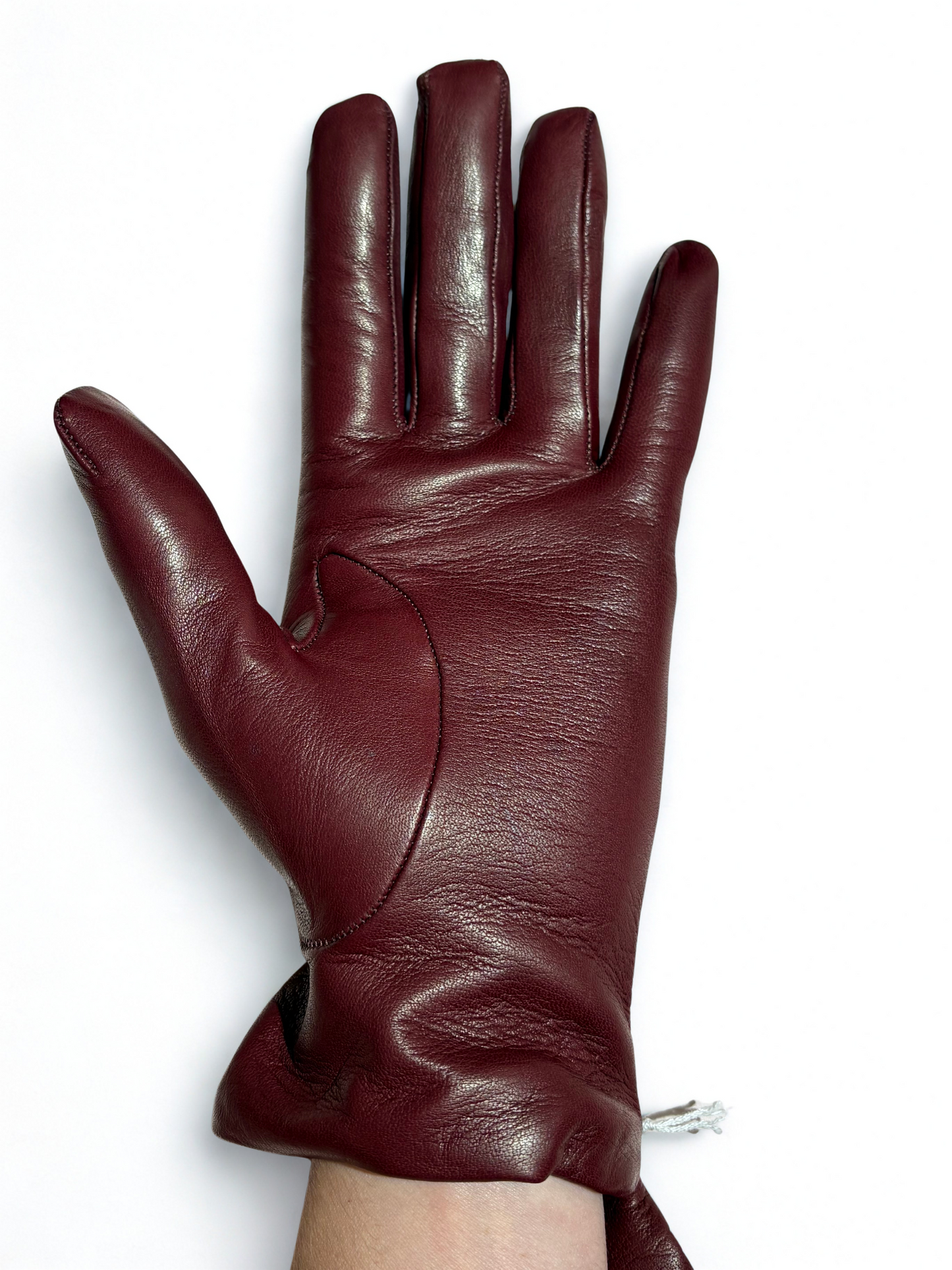 Guanti in pelle / Alpo