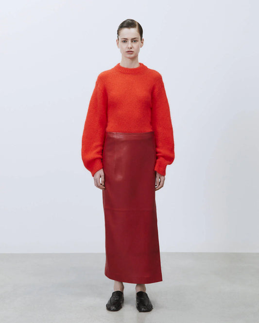 Gonna in pelle / Alysi