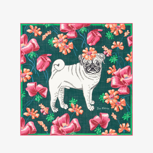 Foulard in lana Toutou